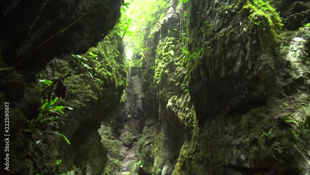 Amazonian karst scenery the Amazonian karst scenery the