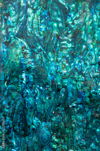 Iridescent blue and green paua, abalone, shell pattern. photo