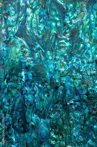Iridescent blue and green paua, abalone, shell pattern.