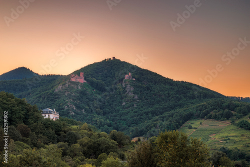 evening view of the vineyards at ribeauville © Filip Olejowski