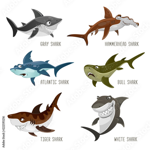 Fototapeta Naklejka Na Ścianę i Meble -  Set of cartoon sharks with different emotions isolated on white background. Vector illustration
