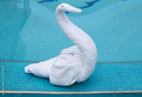 Figures from towels. Swan. On Board the ship near the pool Stuarts staged an exhibition of figures out of towels.