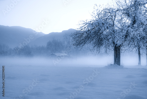 lo spettacolare inverno immerso nella nebbia