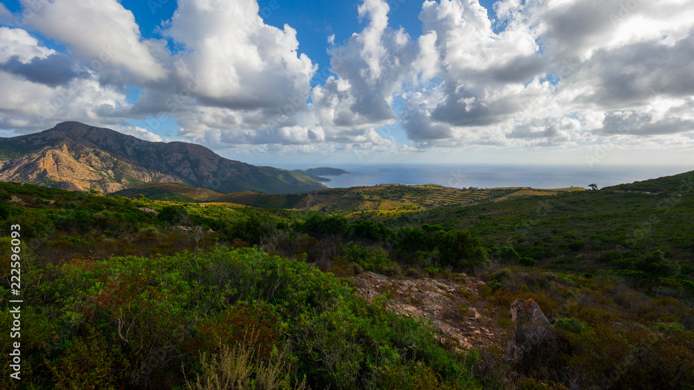Fototapeta premium Calanches de Piana, Corsica, in summer