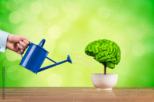 Creativity and brain function growth