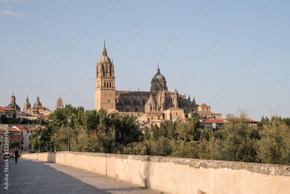Beautiful view of the cathedral of Salamanca and the Roman bridge, Castilla y Leon, Spain
