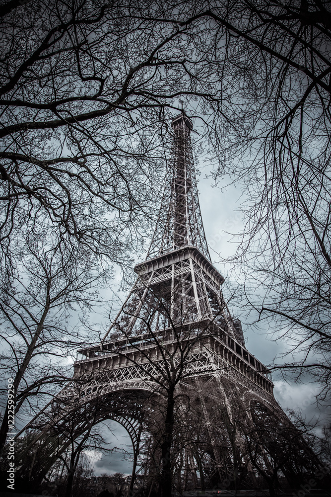 Eiffel Tower between tree branches in Paris, France