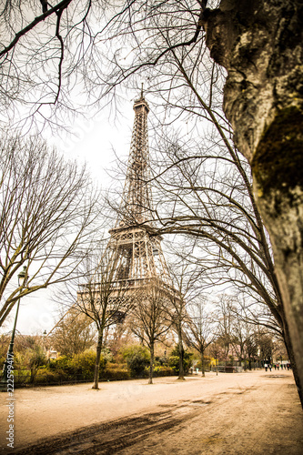 Eiffel Tower between tree branches in Paris, France