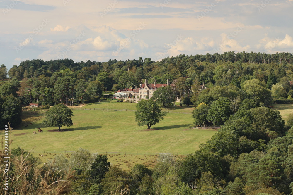Fototapeta premium country house