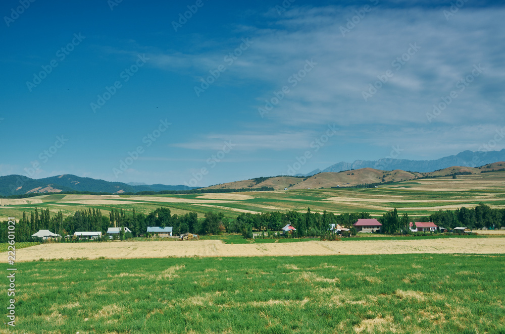 Obraz premium Mountain road