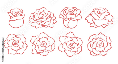 Set of outline roses blooms isolated on white background. Top and side view. Vector hand drawn illustration