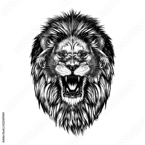 Hand drawn sketch of lion head in black isolated on white background.