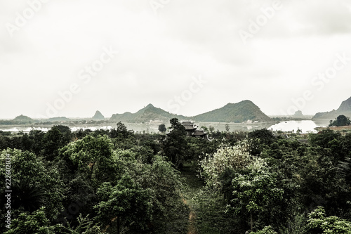 Vue paysage Vietnam vert