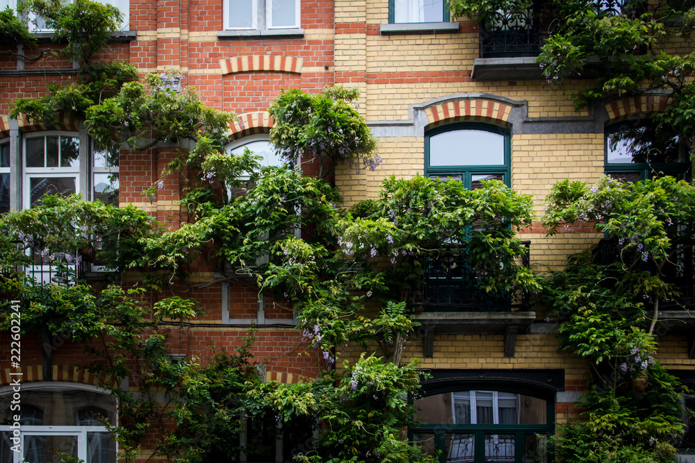 Houses covered by green plants in Brussels Belgium