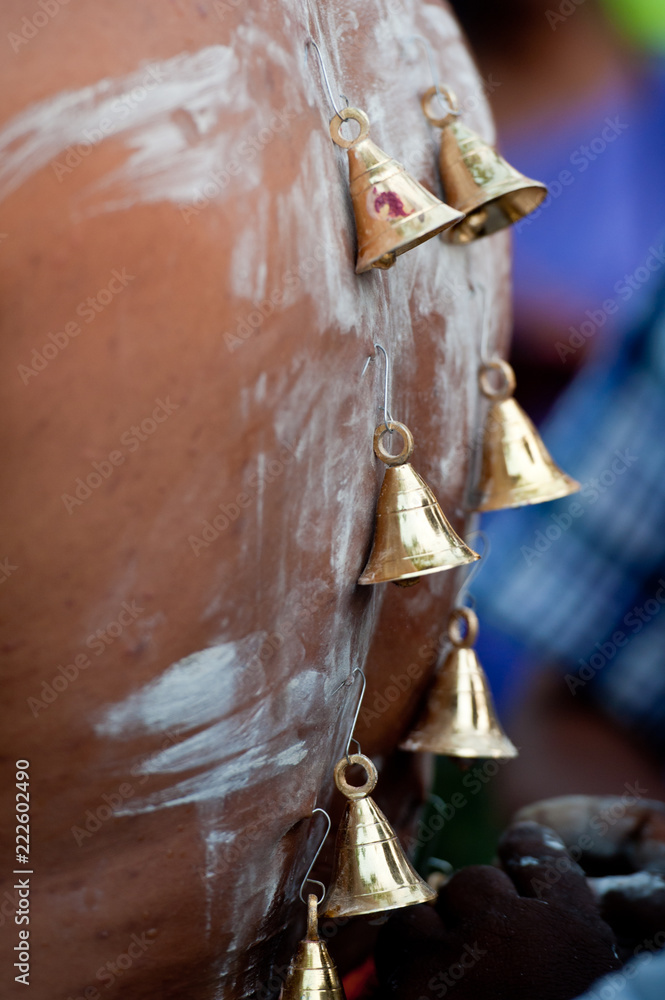 Thaipusam devotee in Penang pierce their backs with large hooks in penance