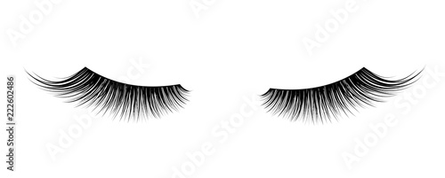 Fotografiet Black False eyelashes. Mascara single decorative element.