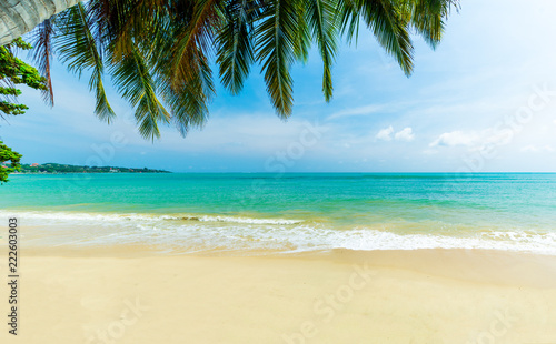 beach and tropical sea. Koh Samui