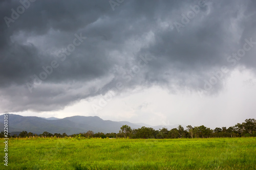 Pasture with hills hidden by rain on the Atherton Tableland in Queensland, Australia