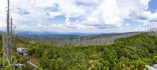 View to Dreisessel, Trojmezi and Trojmezna hills with forests destroyed by bark beetle infestation (calamity) in Sumava mountains. photo