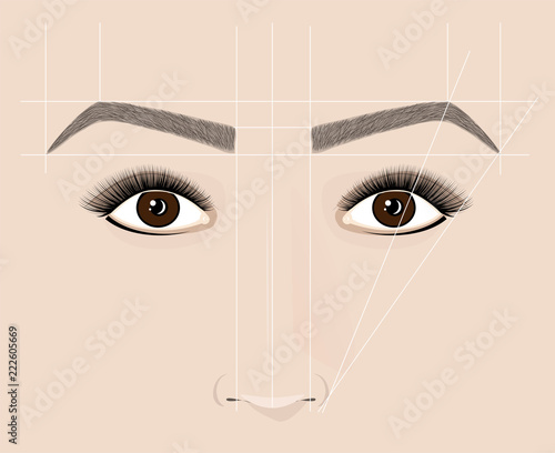 Classical shape of eyebrows. Microblaining and permanent make-up. The scheme of the correct construction.