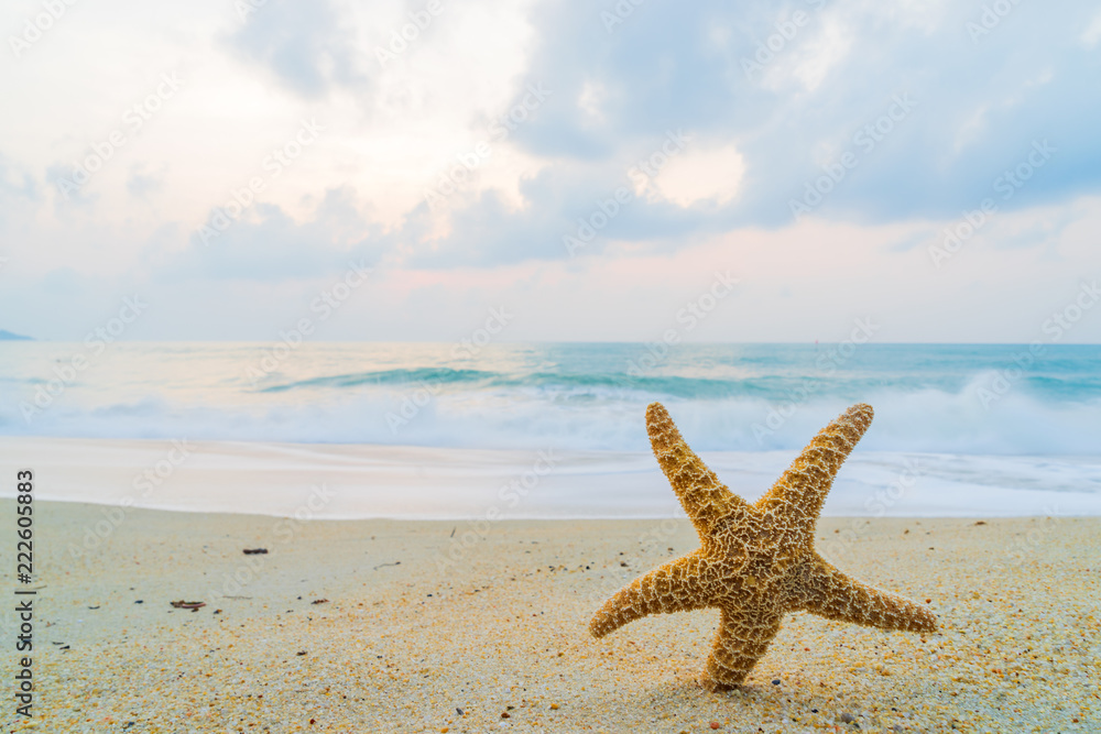 A starfish besides sea shore on a beach with white sand