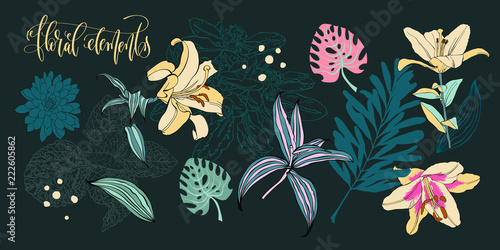 set of flowers and leaves in a realistic and decorative style