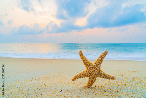 A starfish besides sea shore on a beach with white sand