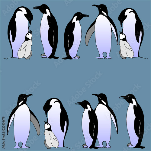 Vector realistic emperor penguins on a dark blue background