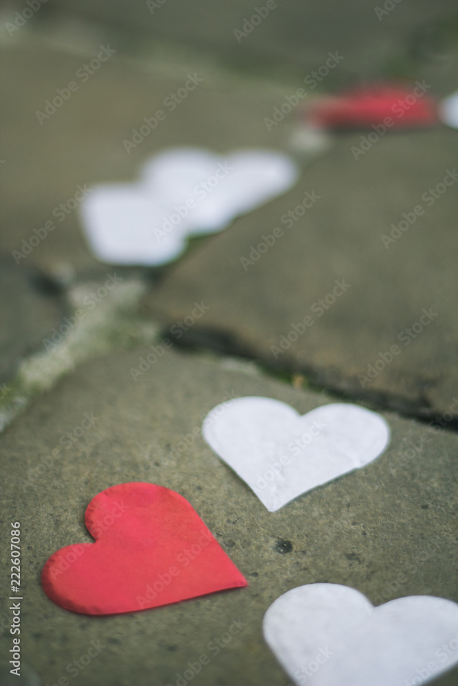 Fototapeta premium Heart petal confetti on the street of Brussels