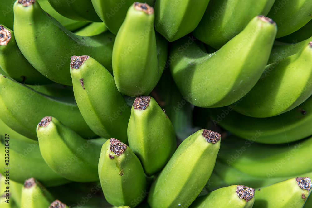 green bananas