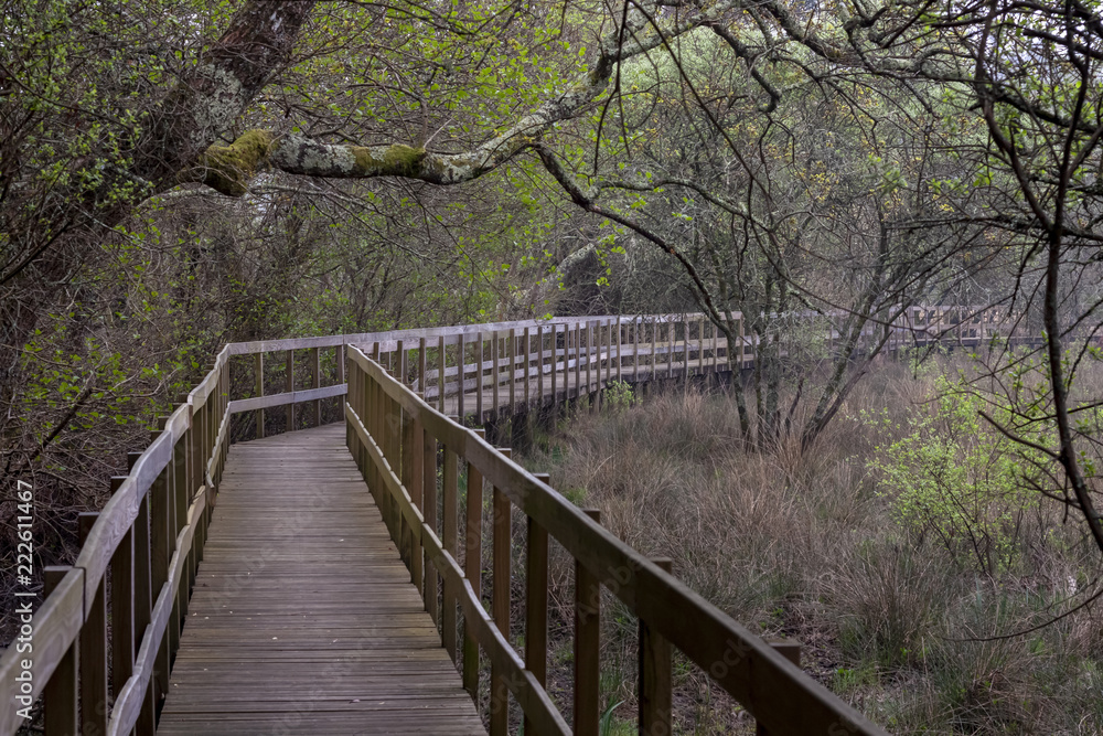 Obraz premium wooden bridge