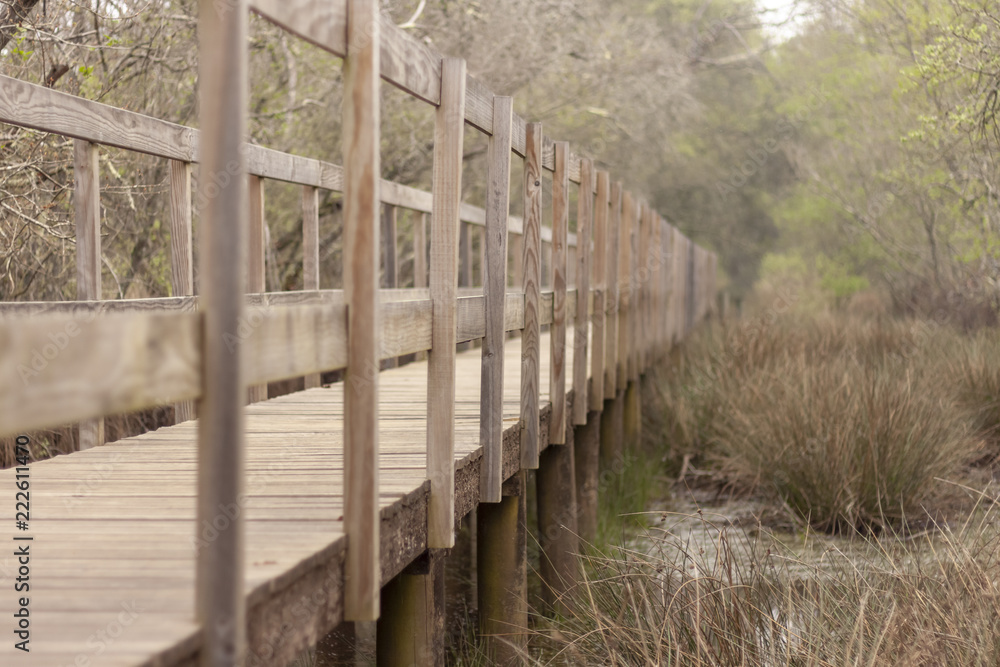 Obraz premium wooden bridge in the forest