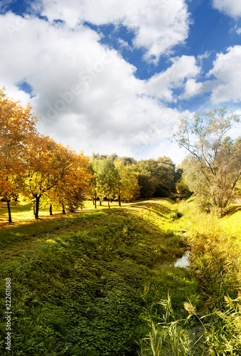 Fototapeta Naklejka Na Ścianę i Meble -  Autumn fall  landscape with trees, meadow and cloudy sky 