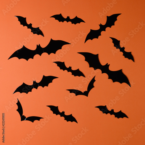 Halloween holiday minimal top view of bats on orange background. Halloween minimal concept.
