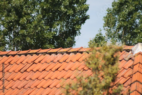 roof with red tiles