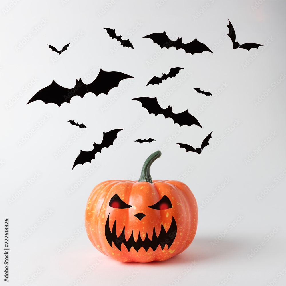 Halloween pumpkin with bats on white background. Halloween minimal concept.