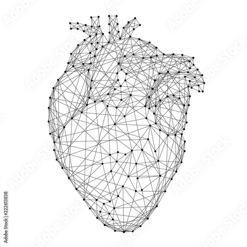 Heart anatomical human organ from abstract futuristic polygonal black lines and dots. Vector illustration.