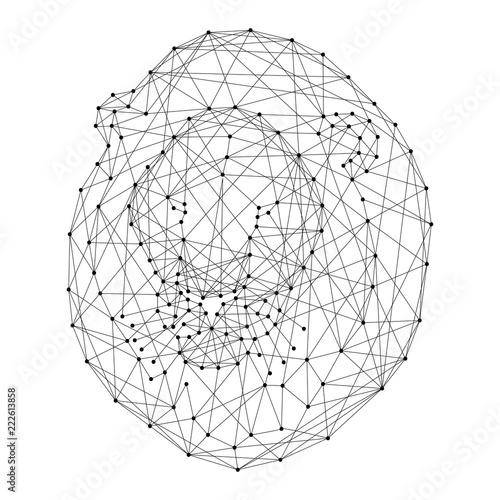 Fototapeta Naklejka Na Ścianę i Meble -  Lion face with mane from abstract futuristic polygonal black lines and dots. Vector illustration.