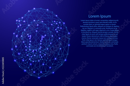 Fototapeta Naklejka Na Ścianę i Meble -  Lion face with mane from futuristic polygonal blue lines and glowing stars for banner, poster, greeting card. Vector illustration.