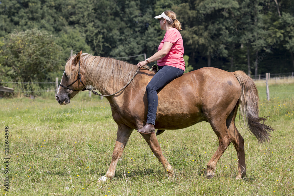 Obraz premium Reiterin mit Pferd