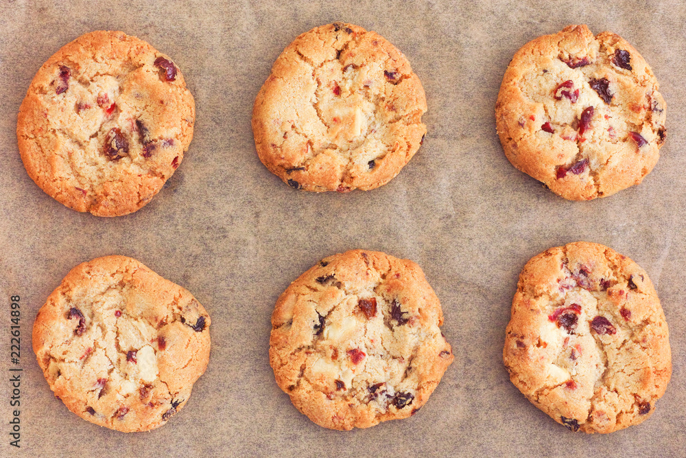 Delicious Homemade White Chocolate Chip Cranberry Cookies Delicious Homemade White Chocolate Chip Cranberry Cookies