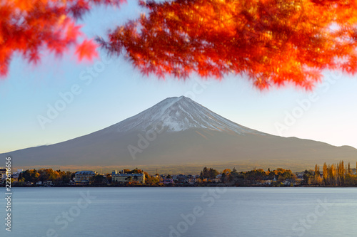 Mt. Fuji with Japanese maple in autumn. photo