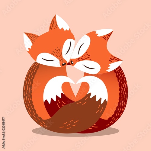 Lovely couple foxes