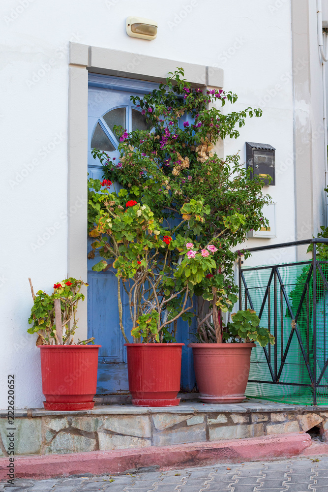 flowers in pots and a door