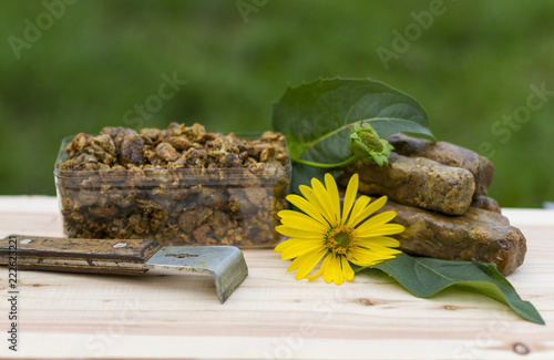 Wall Mural Propolis collected and shaped into cubes on a wooden background