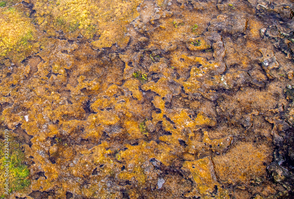 Colorful natural textured pattern Colorful natural textured pattern