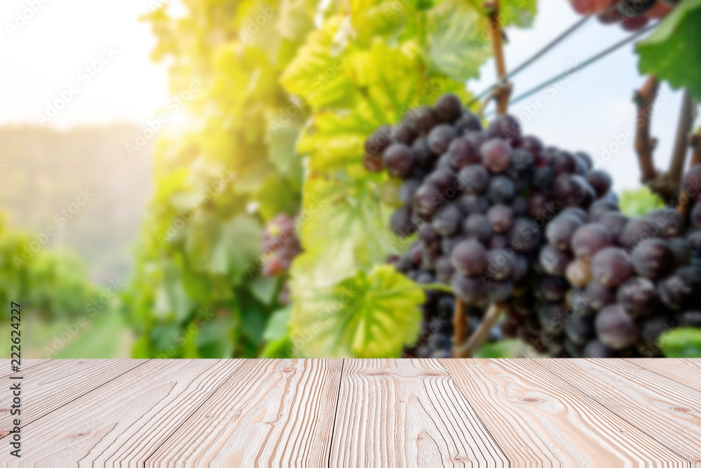 Empty wood table with freshly grapes, Vineyards in autumn harvest background, Mock up for your product display or montage