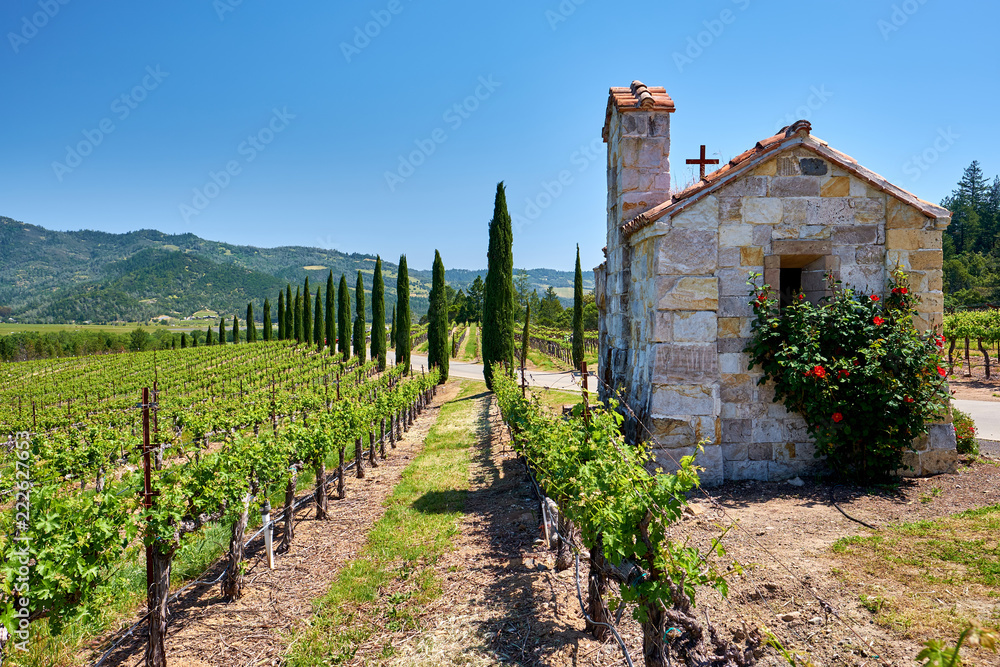 Vineyards with chapel in California