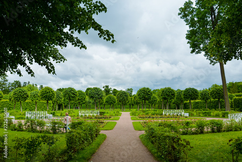 Summer garden in Saint Petersburg, landscape. Beautiful park with trimmed trees, people, green lawn, benches. Famous historical place. For posters, interior decoration, calendars, prints, design.
