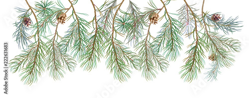 Horizontal border with pine branches and cones, needles on white background, hand digital draw, watercolor style, decorative botanical illustration for design, Christmas tree, panoramic view, vector